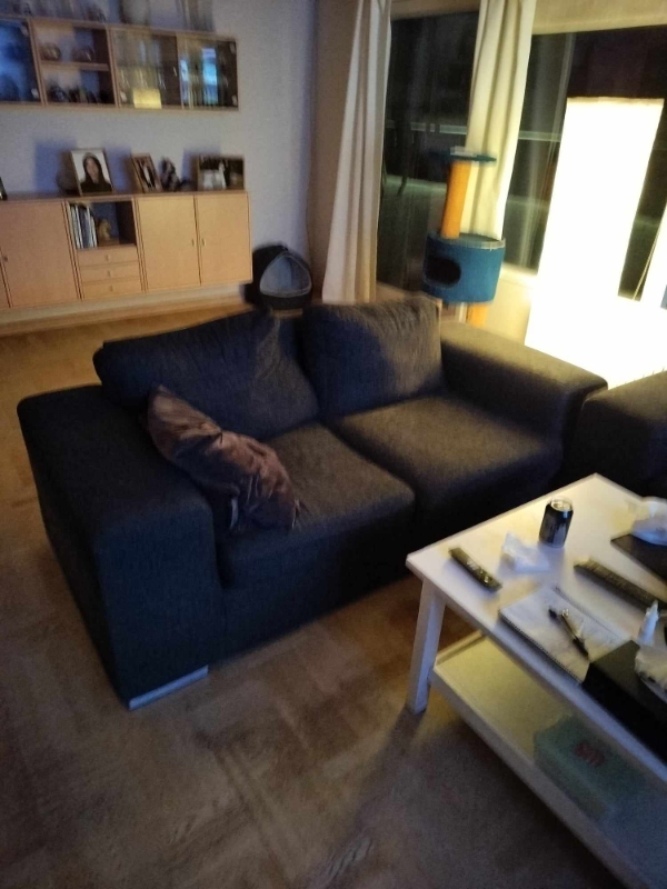 Møbelrensning for kæledyrsejere