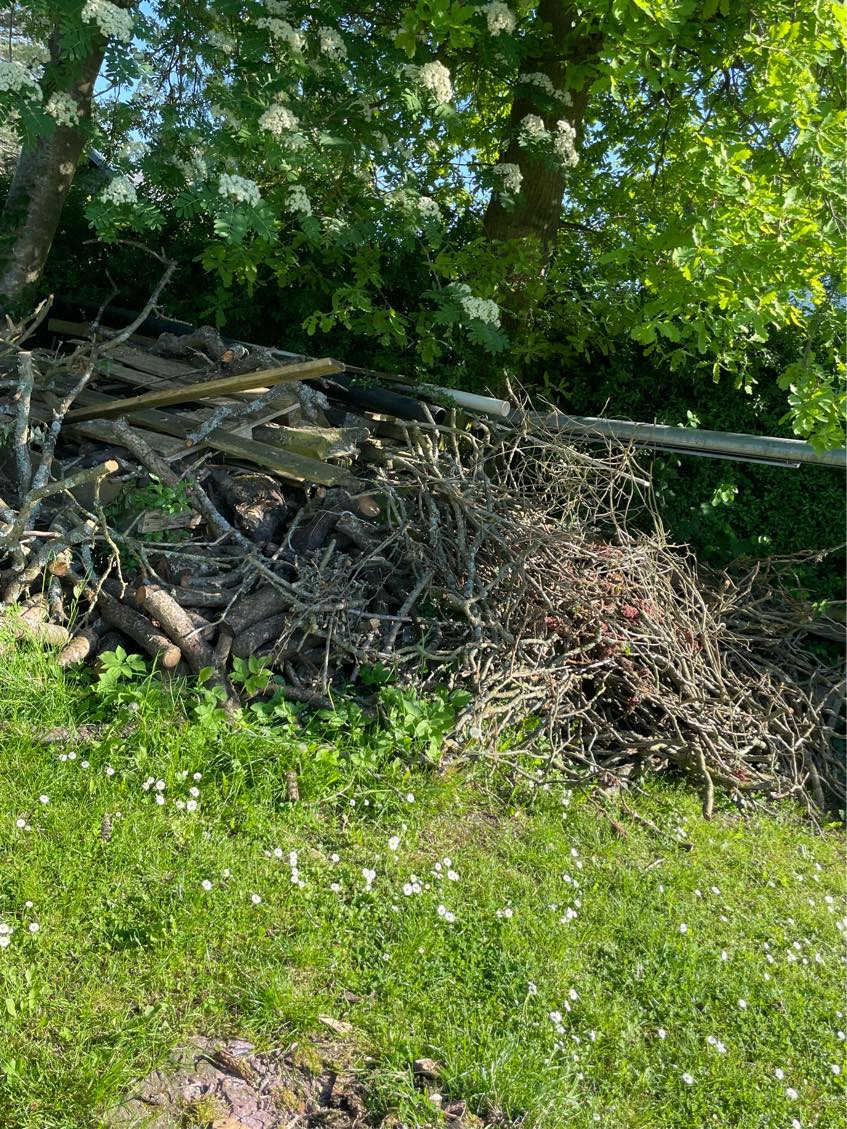 Brænde skal køres på genbrugsplads 