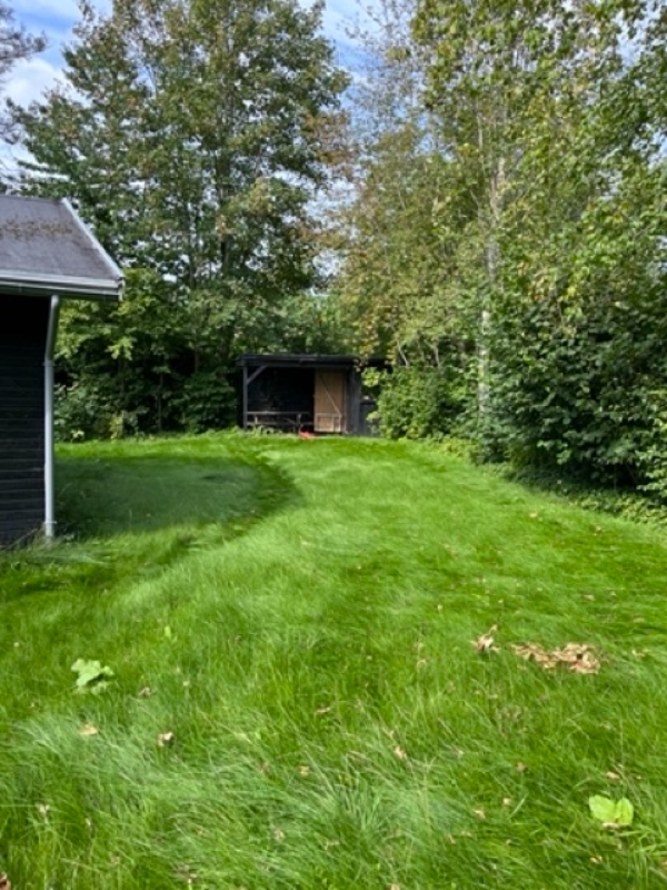 Klippe Græsplænen