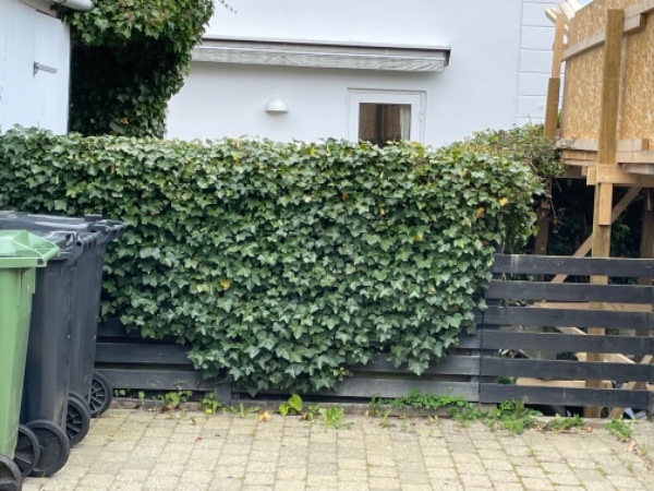 Billedanalyse af skråning