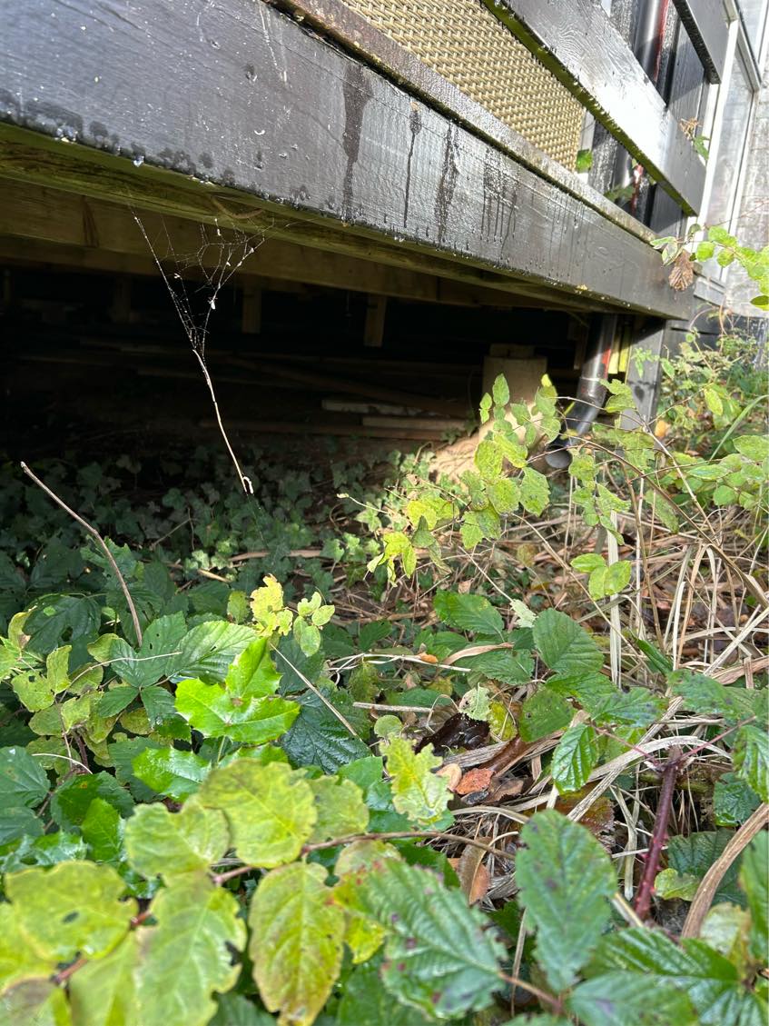 Fjernelse af byggematerialer - lange træbrædder under terrasse (løst)
