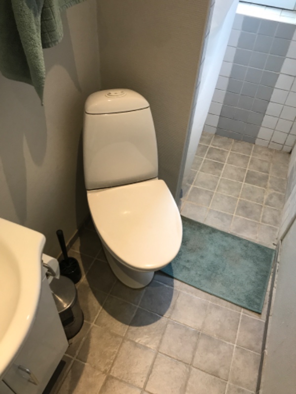 Udskiftning af toilet, armaturer, bruser og vandhane i køkkenet