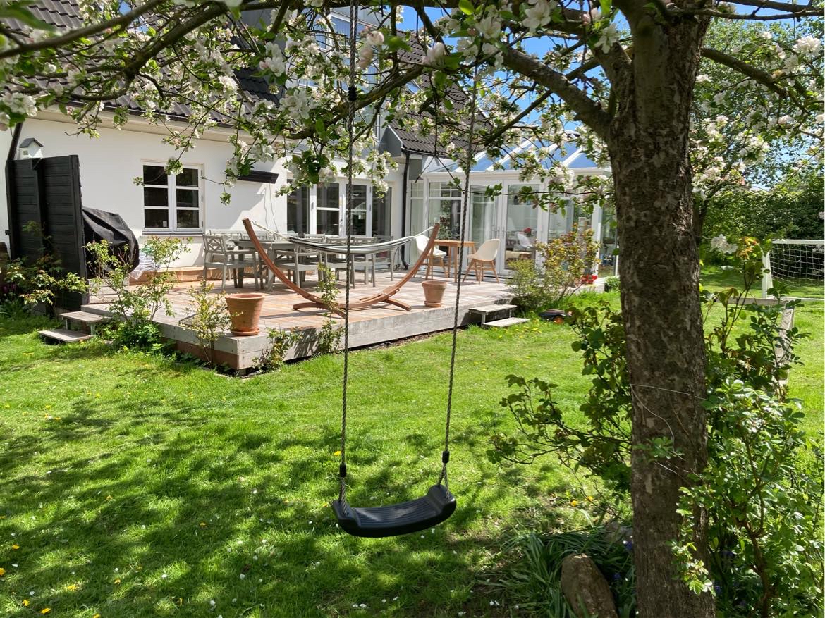 Slibning træterrassen