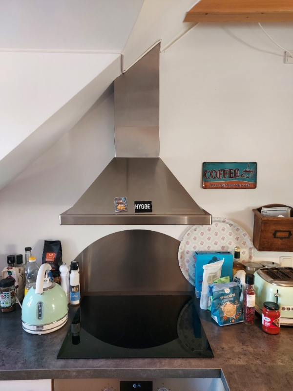 Skift af emhætte, kogeplade (induktion) og ovn