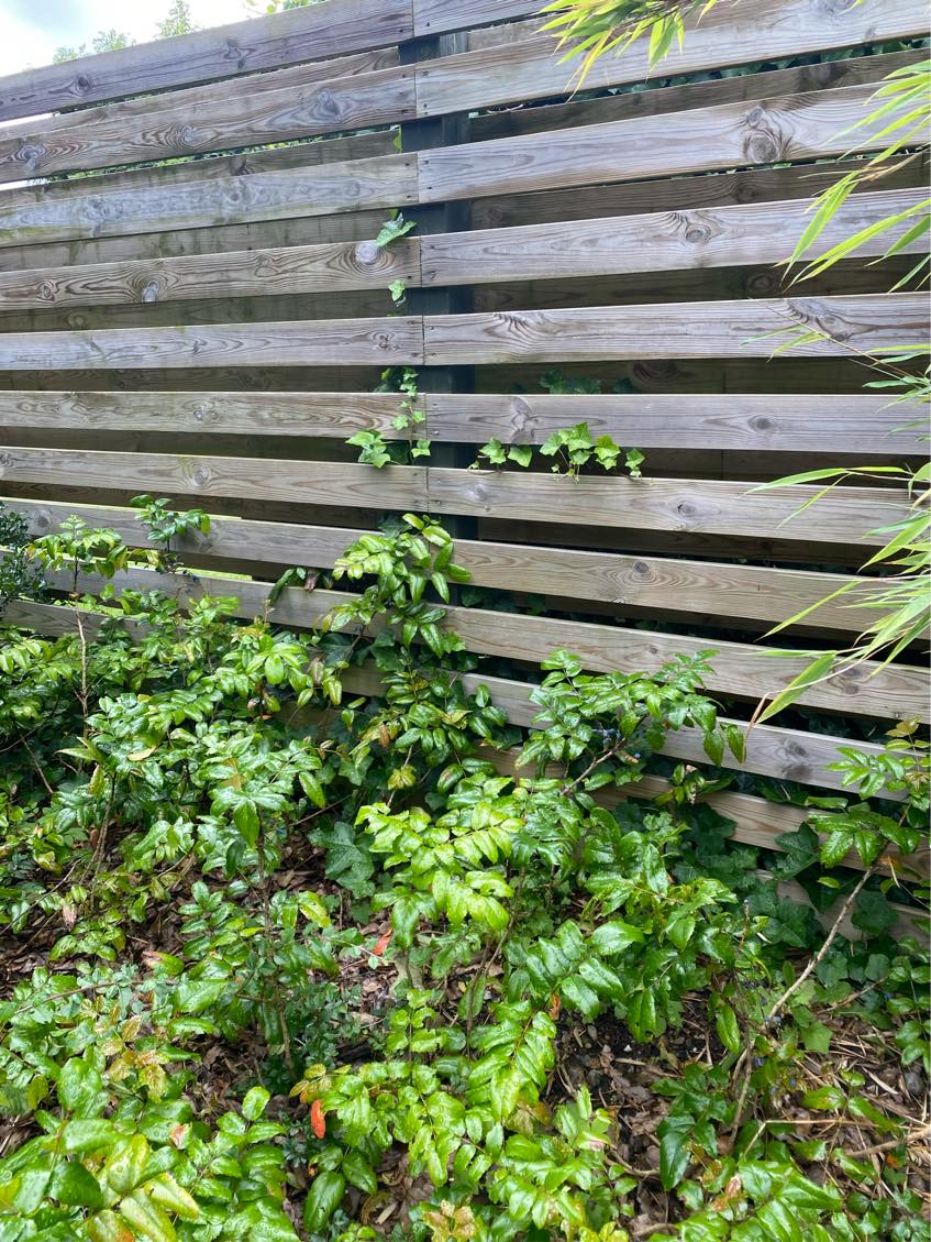 Havearbejde. Mest ukrudt