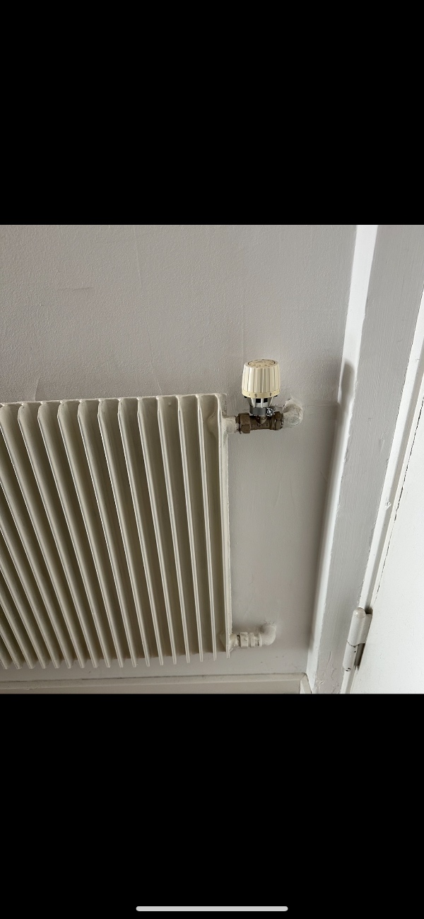 Afmontering af Radiator