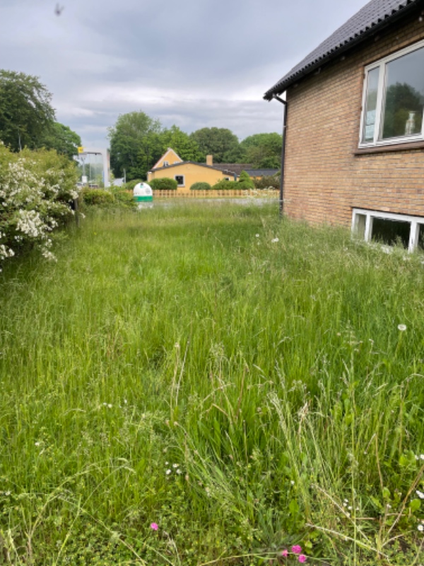 Klipning og trimning af have