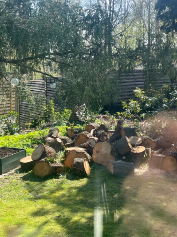 Kløvning af træ asap