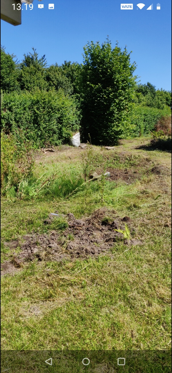 Fjernelse af to trærødder samt fræsning af havestykke