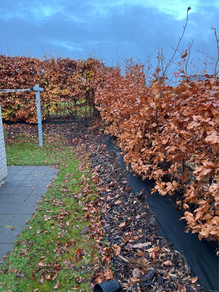 Sætte støttemur op