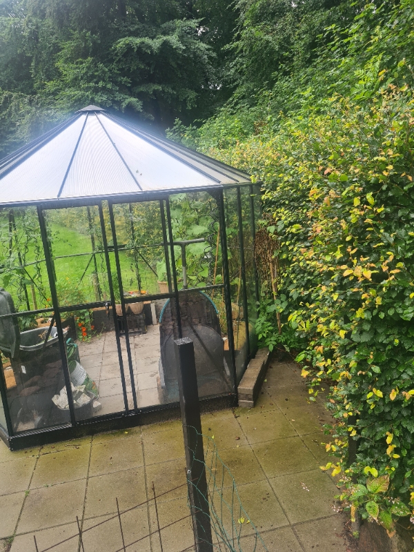 Klipning og fjernelse af hæk