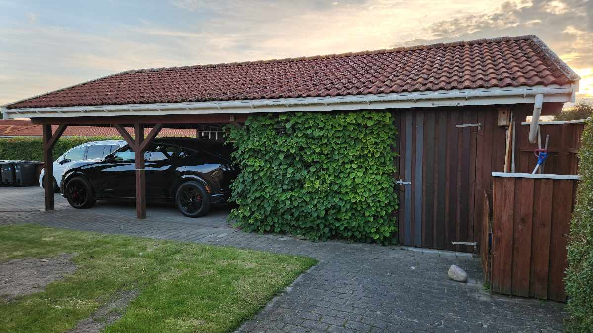 Træværk carport og skur