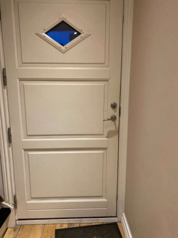 Montering af kattelem med chip i vores hoveddør