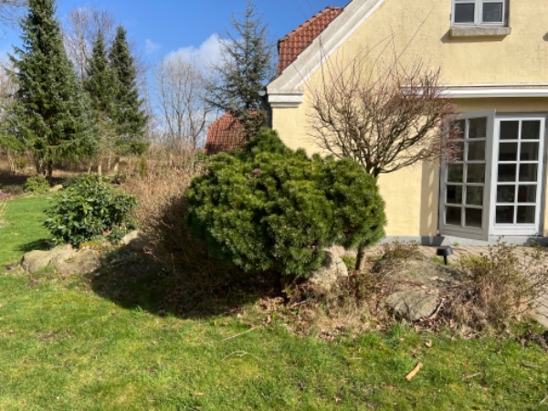 lugning i bede og lave kant mellem bede og græsplæne