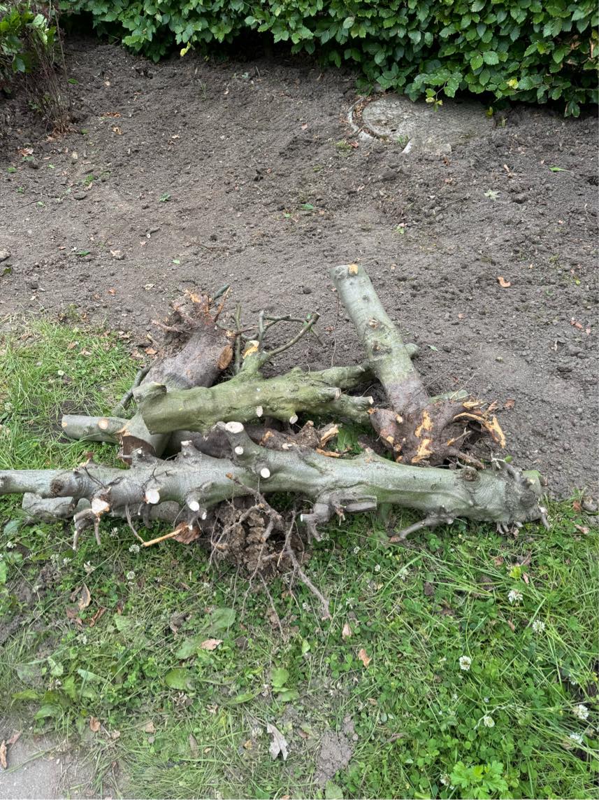 Bortskaffe haveaffald