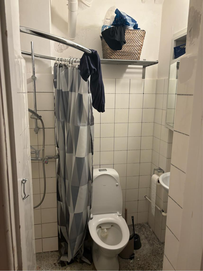 Fjernelse af Skimmelsvamp