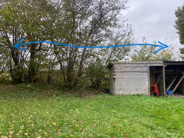 Træfældning, flyt af skur og beskæring