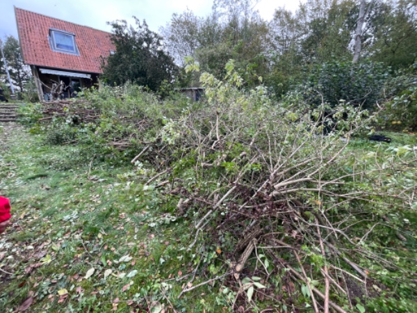 Afhentning af haveaffald fra hækklipning