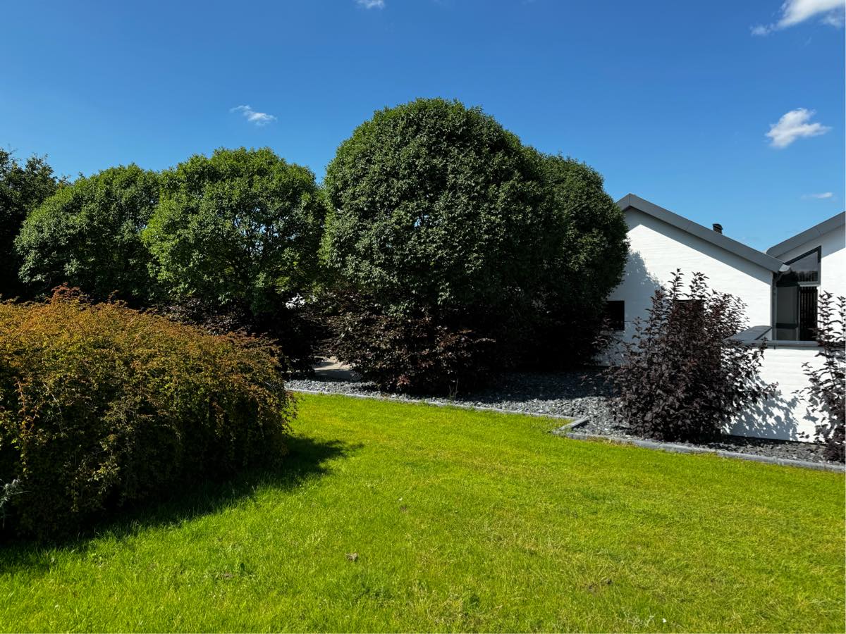 Haveaffald skal køres væk