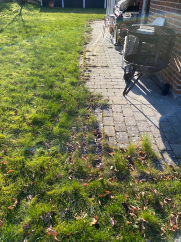 Afretning af kanter og fjernelse af græs der er vokset ud over fliser.