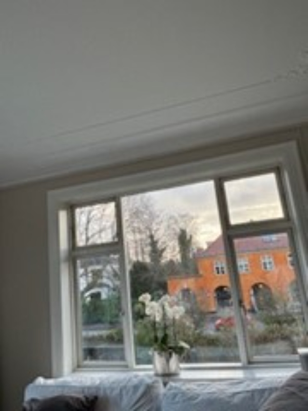 Pudsning af 5 thermovinduesfag inde- og udefra