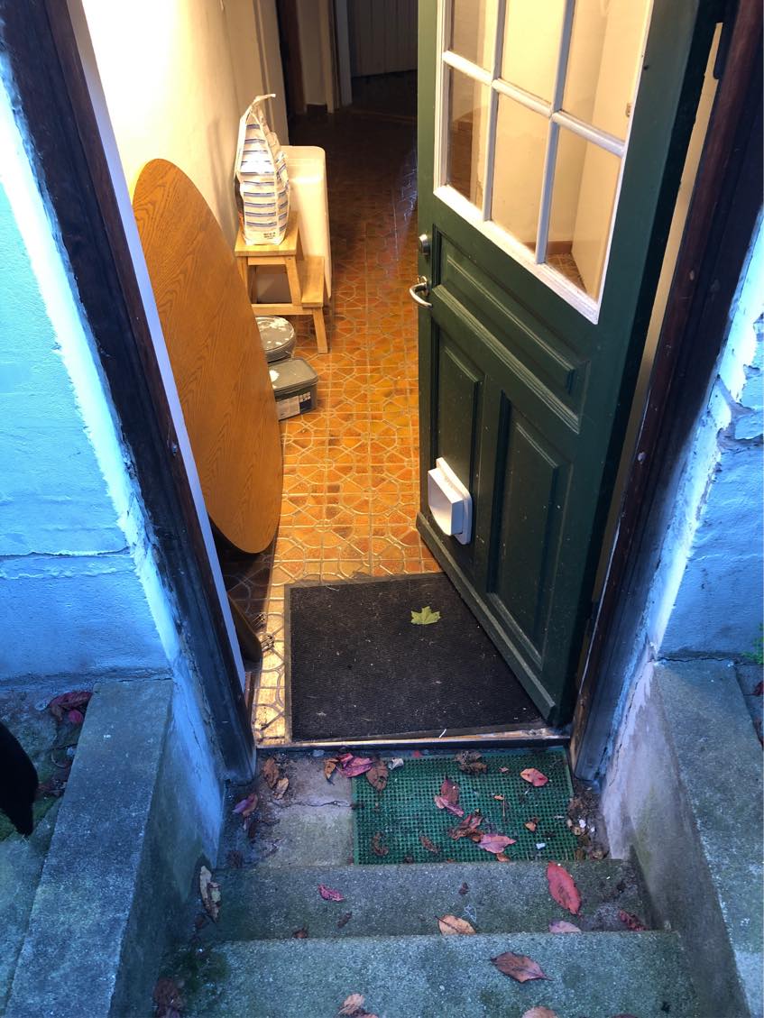 Fældet et stort kirsebærtræ i baghaven