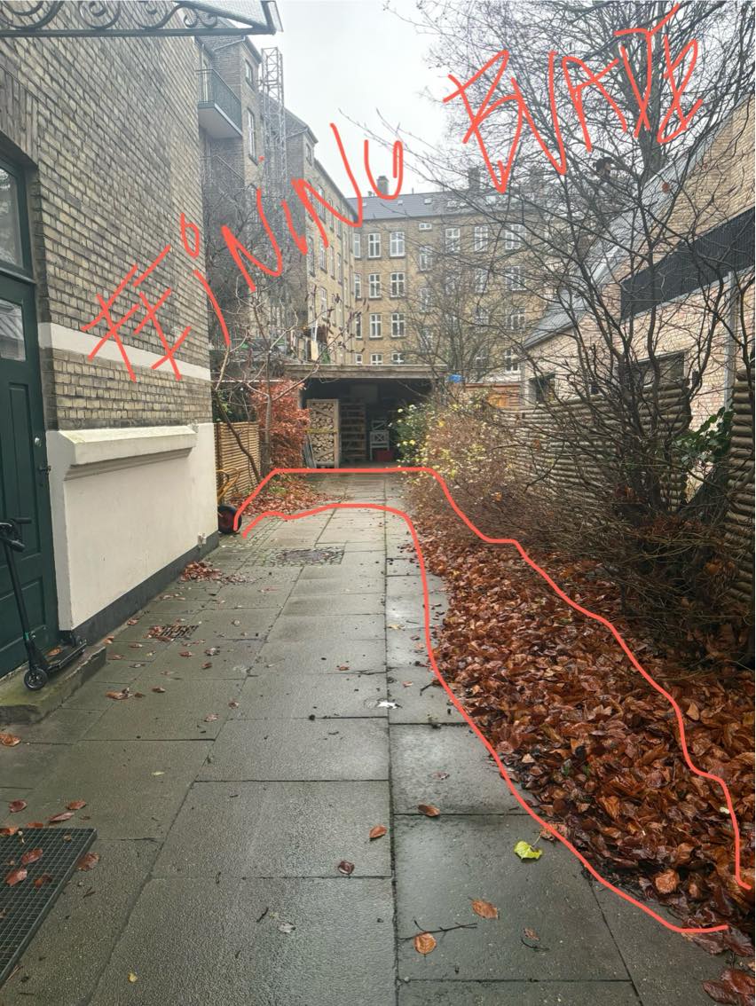 Beskæring af træ / bladeopfejning / genbrugsplads