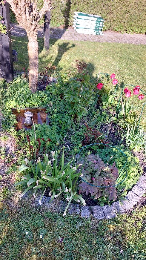 Fjernelse af højbede og havearbejde