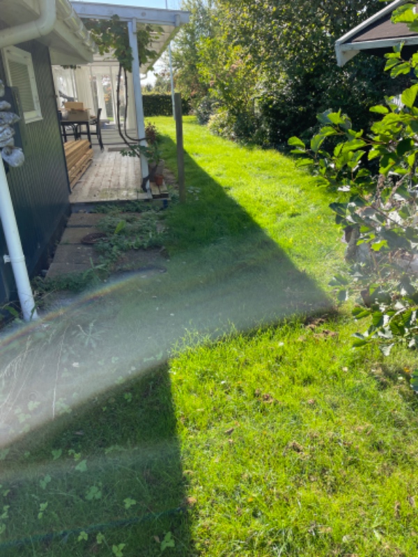 Hæk, græs og lugning af fliser