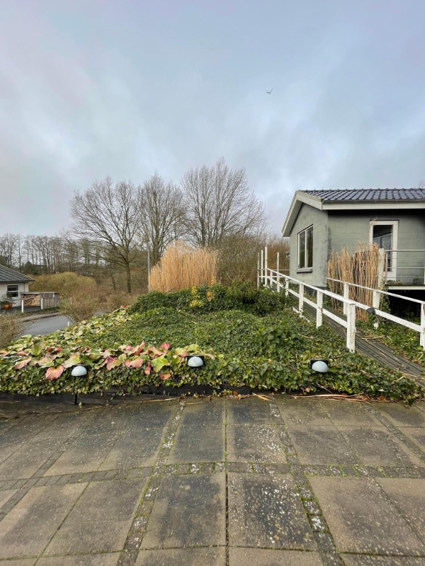 Rydning af forhave (primært efue)