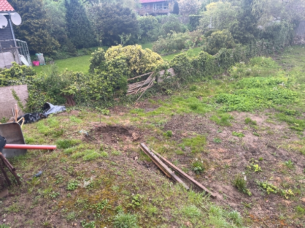 Etablering af græsplæne