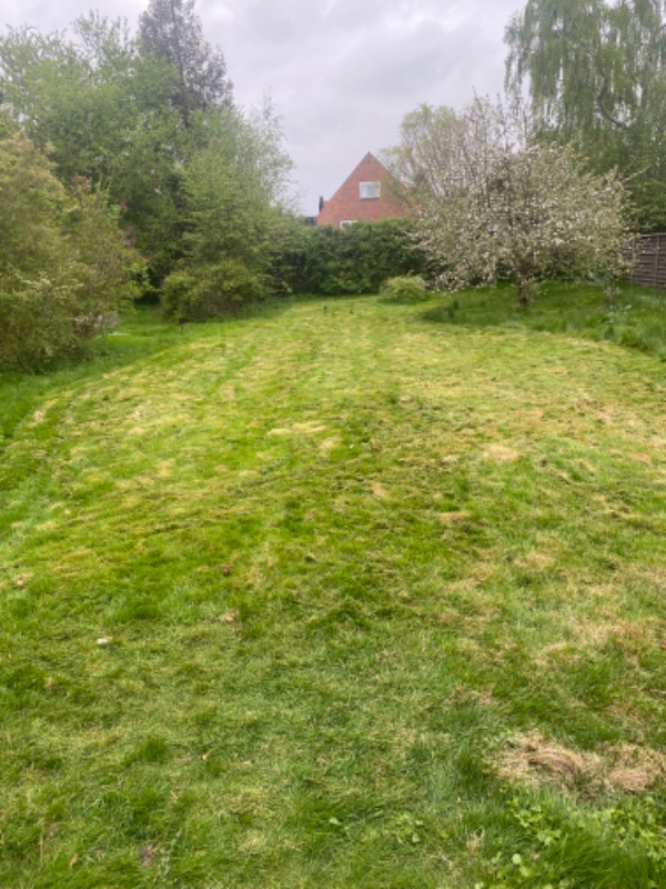 Fjerne rødder og buske i haven
