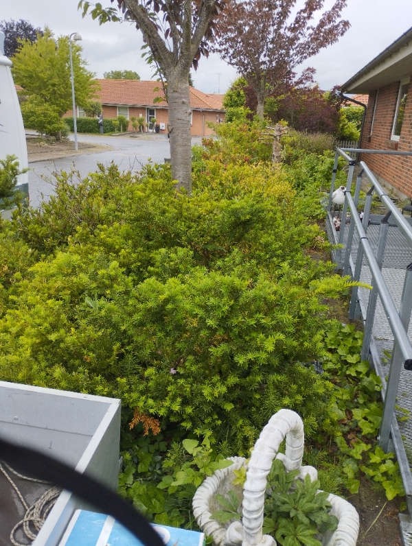 Fjernelse og anlægning af bed