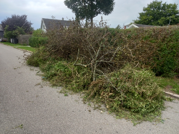 Hej Jeg har klippet hæk og lidt grene fra stormen.Bunken 7 m lang og det er 90% hækaffald