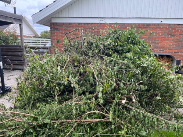 Kørsel af haveaffald til genbrugsstationen.