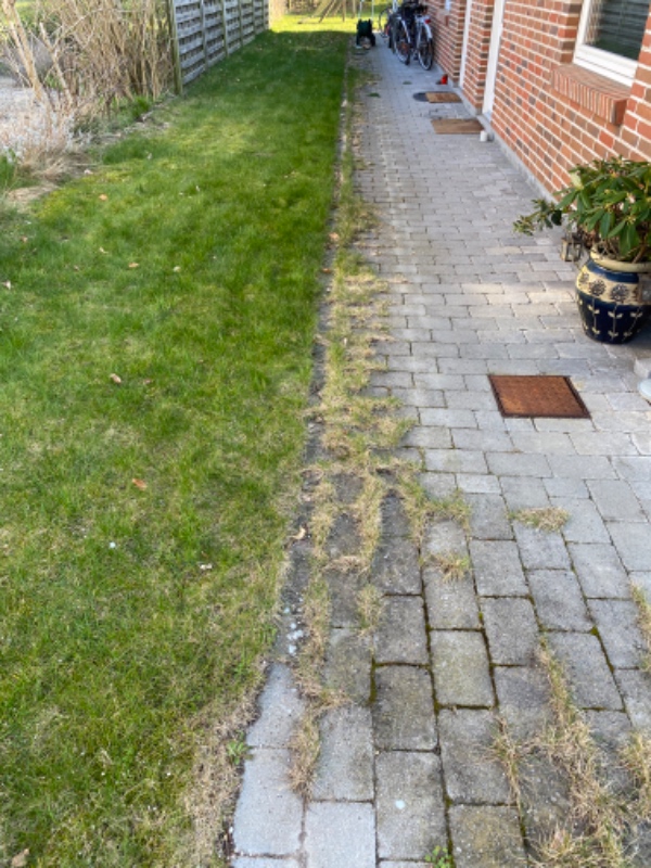 Afretning af kanter og fjernelse af græs der er vokset ud over fliser.