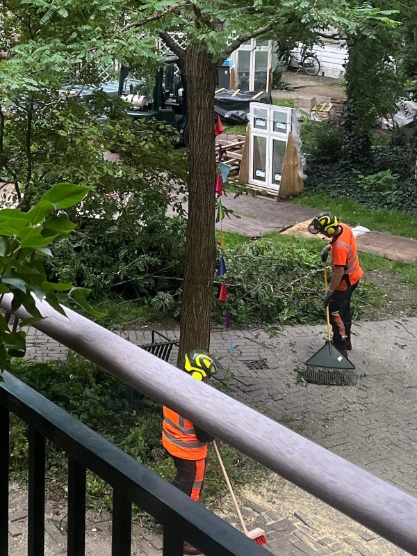 Vi har fået fældet et træ. Der er mange græne og stammer der ønskes afhentet