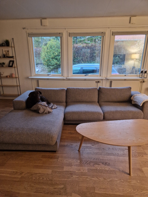 Rengøring af sofa