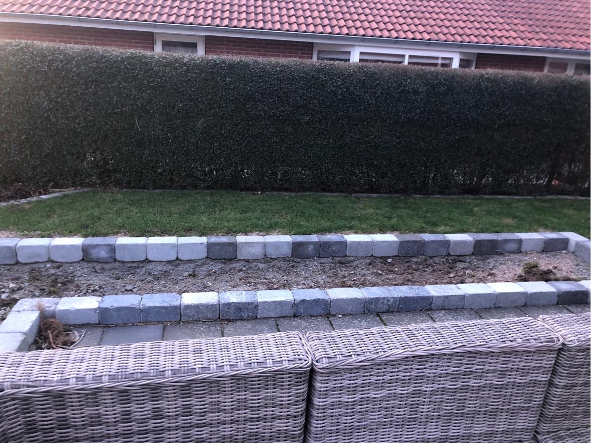 Fræse, fyldt jord på og plantet planter