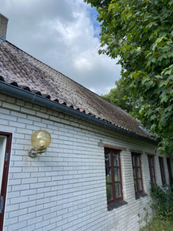 Tagrensning af eternittag