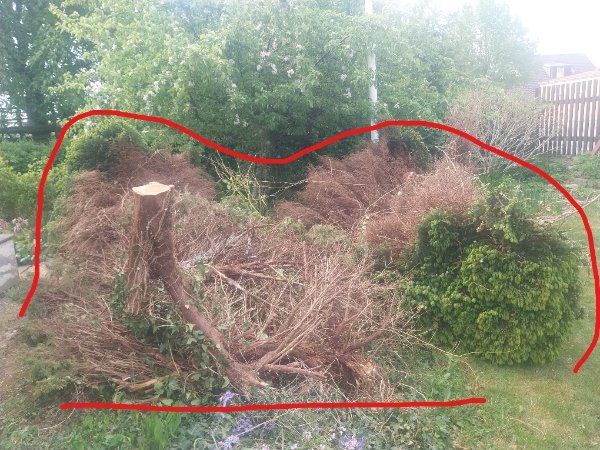 bortkørsel af mindre træer