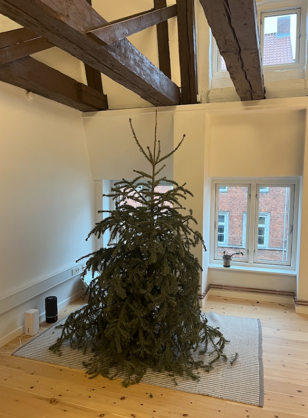 Kørt juletræ på lossepladsen. Det står på 3. sal. Skal skæres op inden det bæres grundet visne nåle