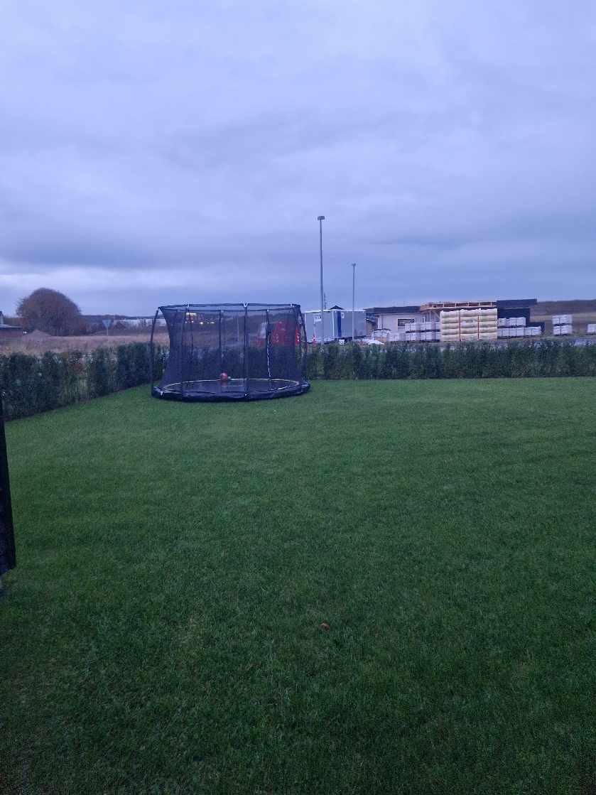 Fjernet ukrudt i hæk, bede og mellem fliser