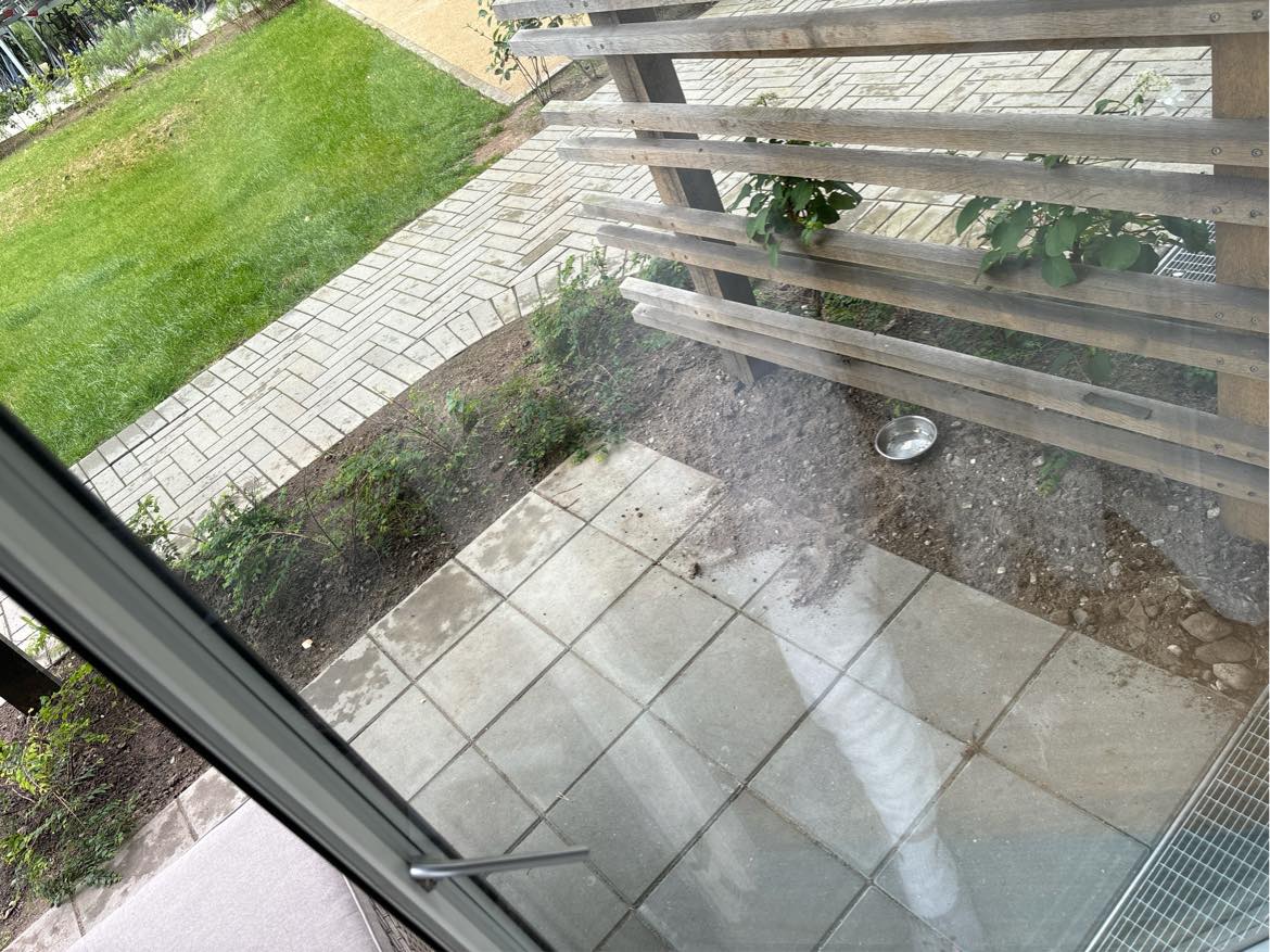 Ligges græs og sættes hegn op