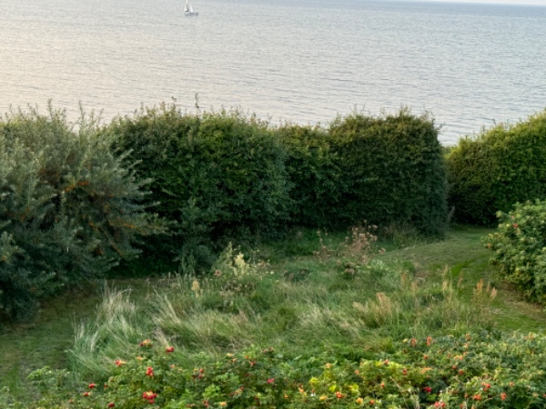 Hæk. Højdejustering