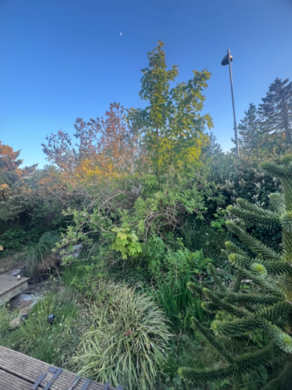 Havearbejde og fjernelse af sten