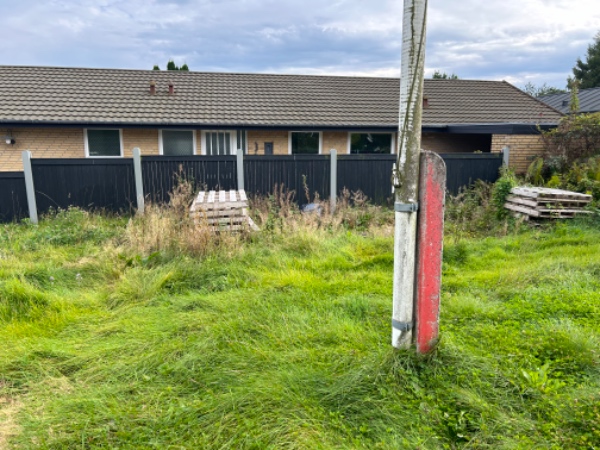 Græsslåning + ukrudt