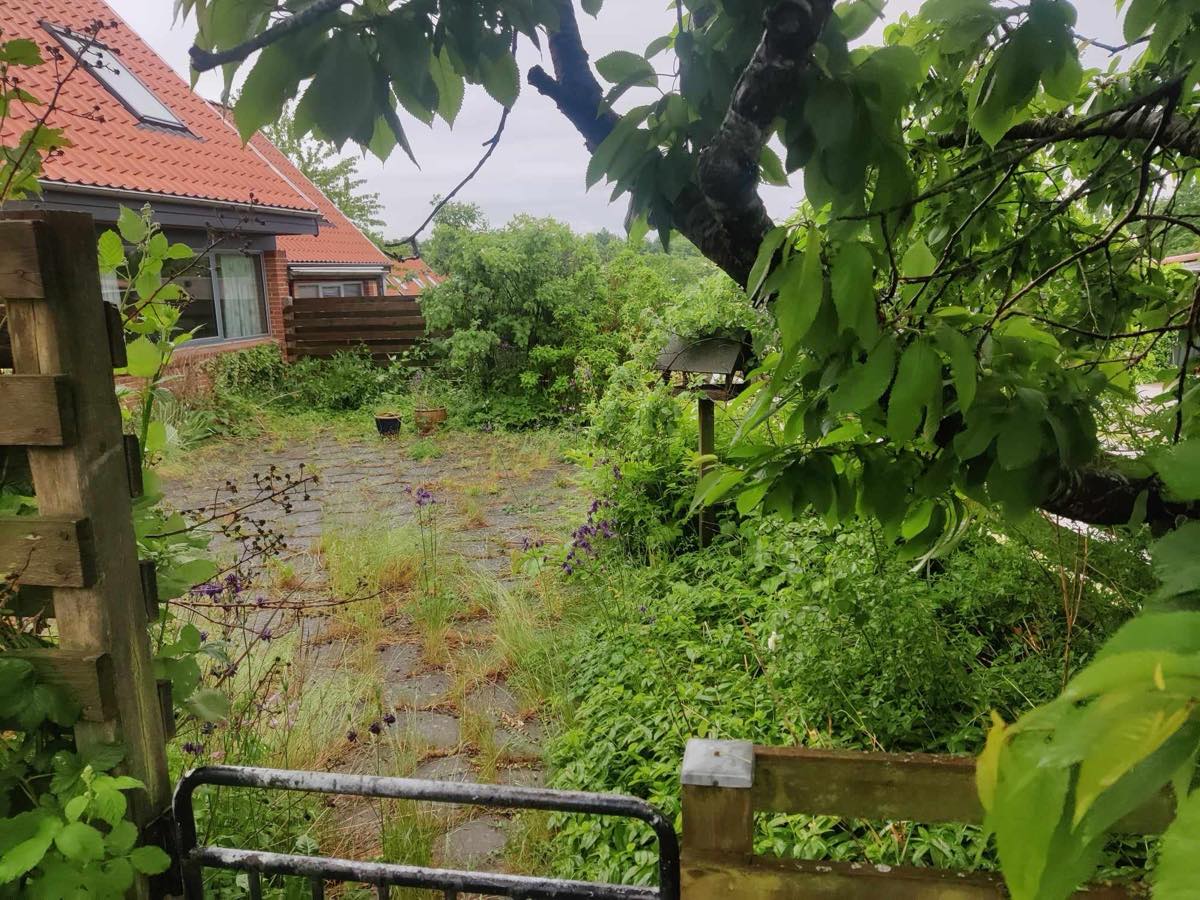 Haveklarering og ukrudtsfjerning 75 kvm