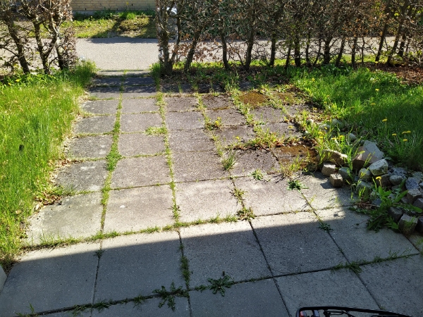 Rens af og mellem fliser