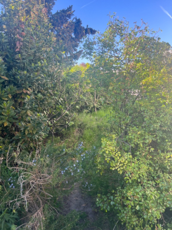 Havearbejde og fjernelse af sten